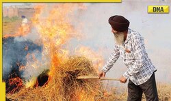 Air pollution: Delhi, Punjab join hands to curb stubble burning in harvest season