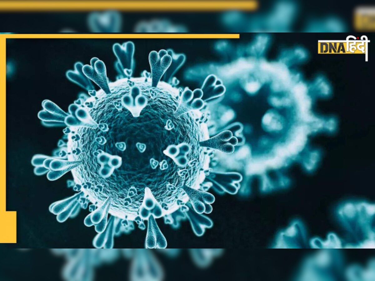 Langya Virus: चीन में उभर रहा कोरोना से भी घातक लंग्या वायरस, जानें तेजी से फैल रही इस बीमारी के लक्षण