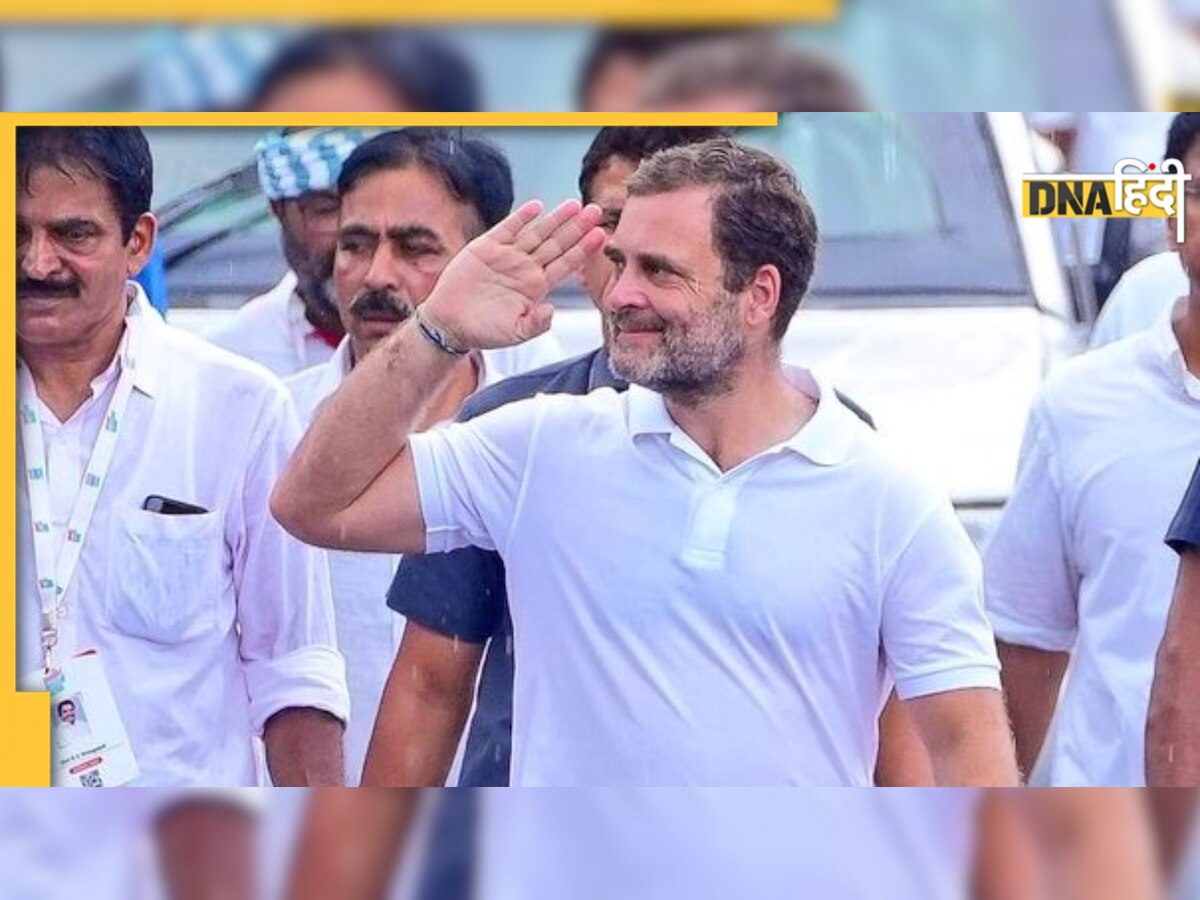 Congress President Election: राहुल गांधी नहीं लड़ेंगे कांग्रेस अध्यक्ष पद का चुनाव! बताई ये बड़ी वजह