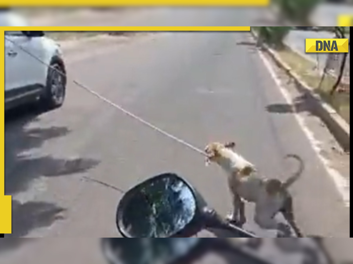 Animal abuse in Jodhpur: Viral video shows dog being dragged behind car, suffers multiple fractures