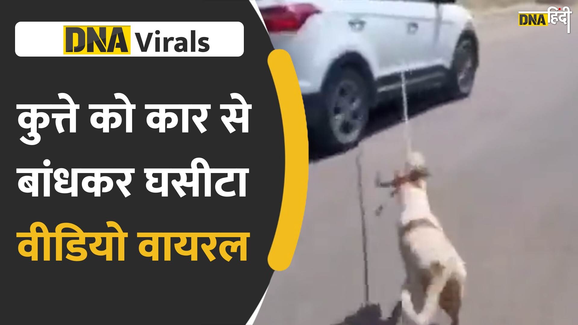 Video : जोधपुर में कुत्ते को कार से बांधकर घसीटा, वीडियो वायरल