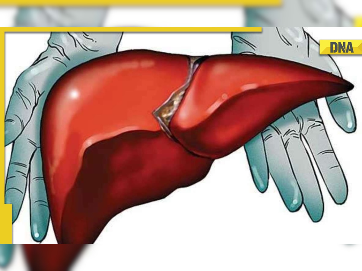 How to know if your liver needs attention? Functions and symptoms