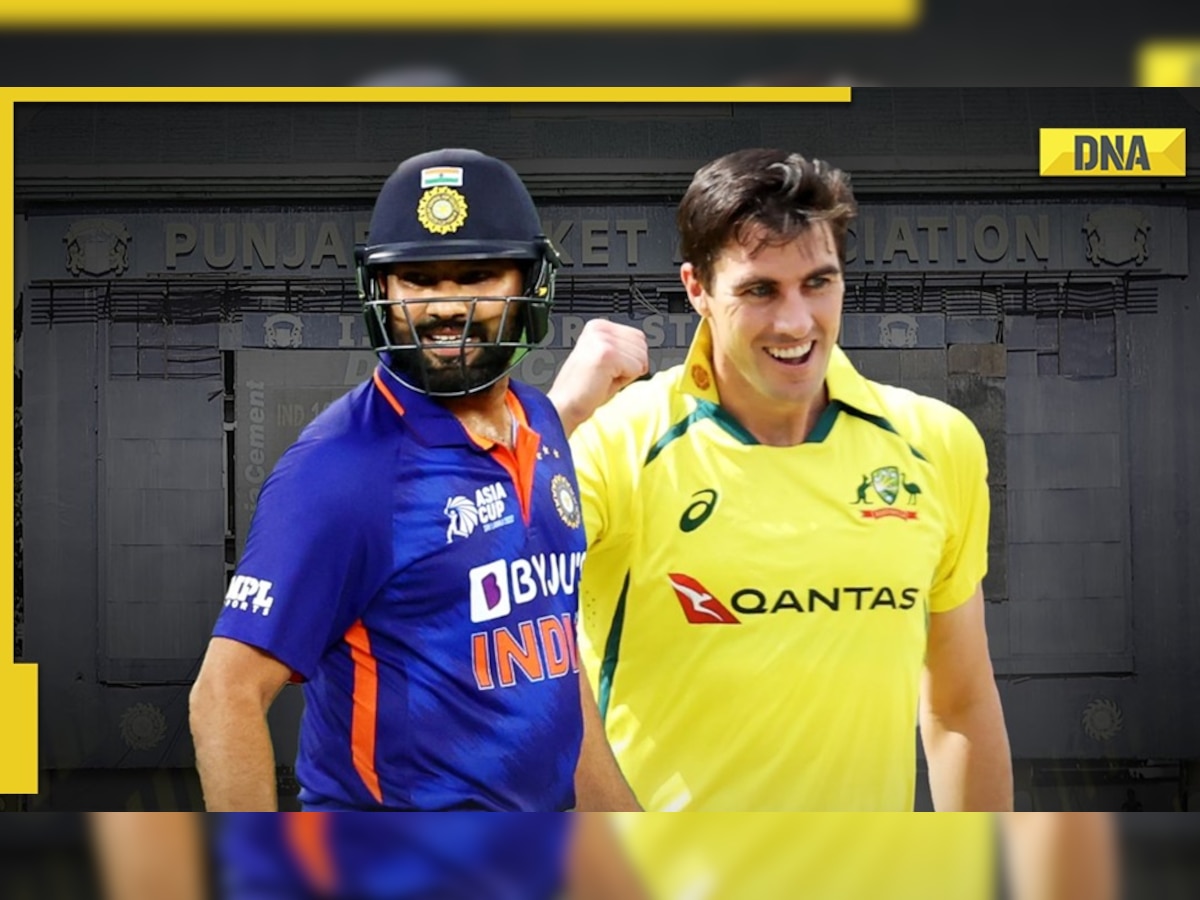 IND vs AUS: Check out list of leading run scorers and most wicket takers in India vs Australia T20Is