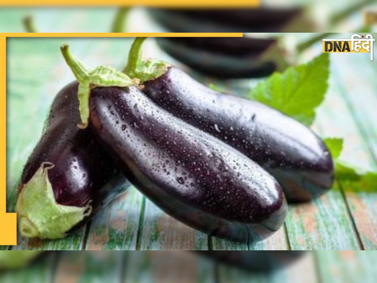 Brinjal Side Effects : बैंगन नहीं है पसंद, न खाने के कुछ और बहाने हैं इधर