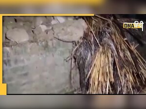 यूपी के इटावा में बड़ा हादसा, दीवार गिरने से 4 सगे भाई-बहनों की मौत