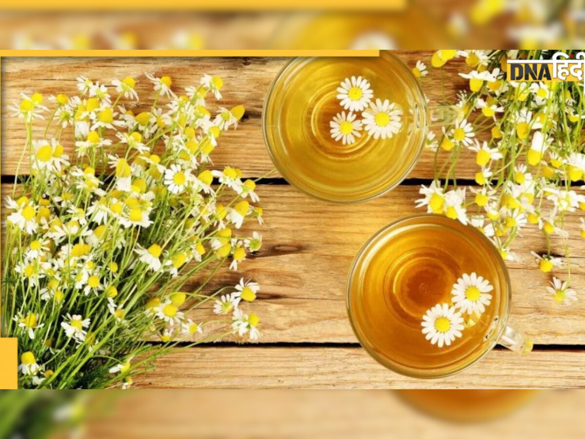 Chamomile Tea Benefits: दिन में एक बार पिएं इस फूल की चाय, पीरियड्स के दर्द में मिलेगा आराम