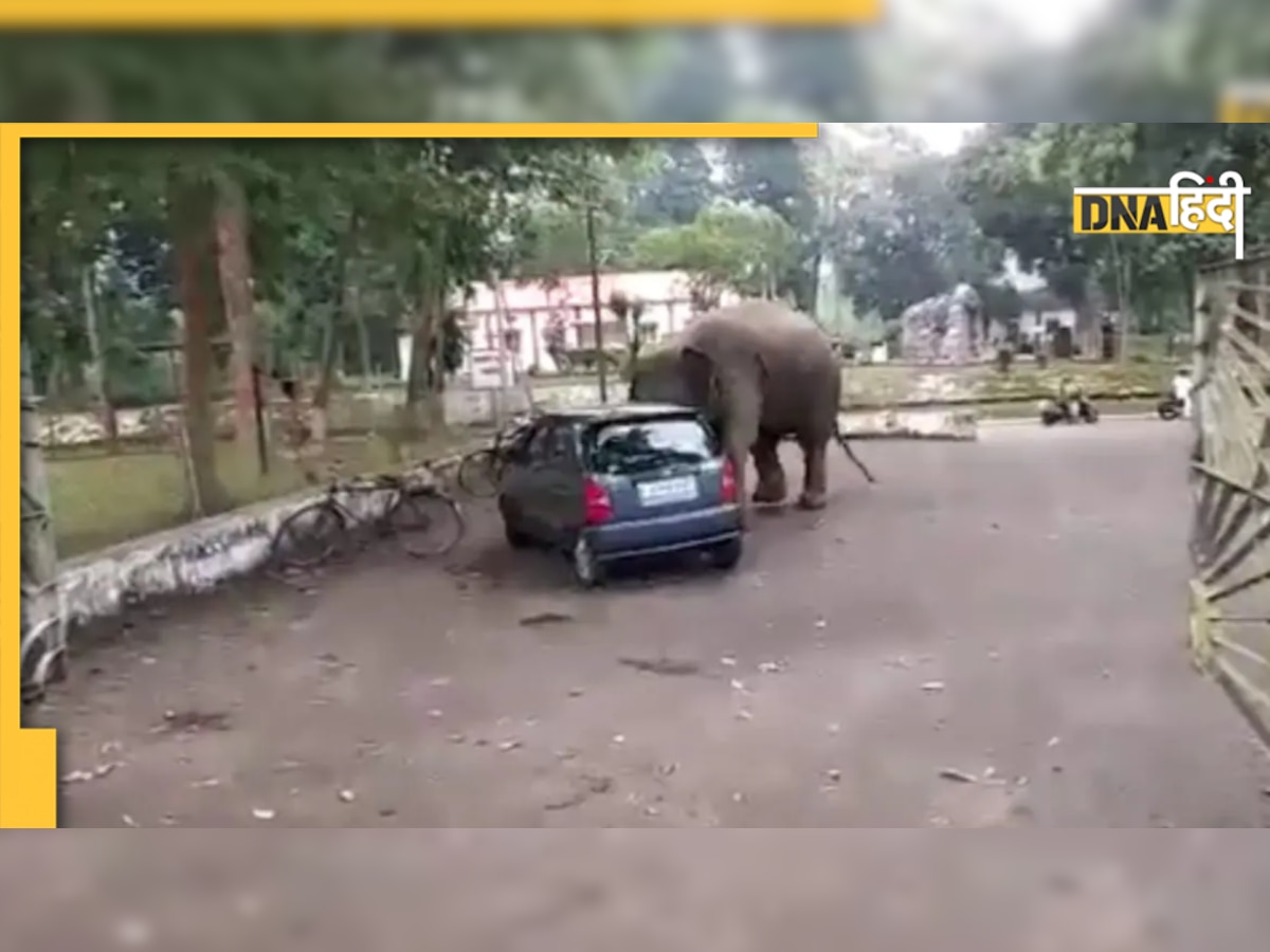 Viral Video: खिलौने की तरह कार से खेलने लगा हाथी, लोग लगाते रह गए आवाज