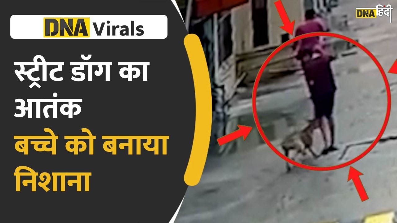 Video: Ghaziabad में Street Dog का कहर