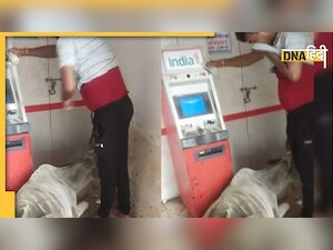 ATM को गाय ने बना लिया ठिकाना, नाक बंद कर पैसे निकाल रहे हैं लोग!