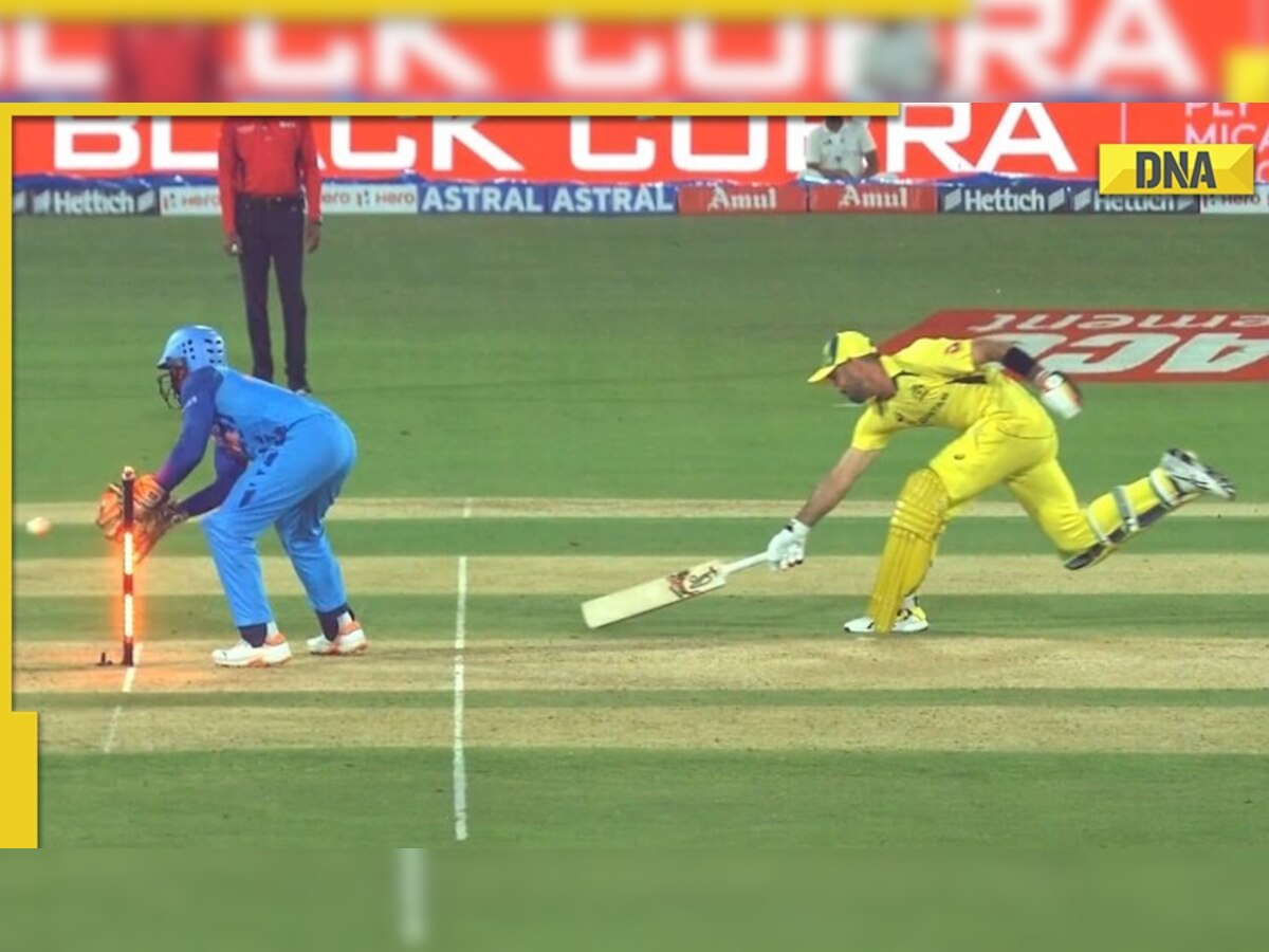 Revealed: Why Glenn Maxwell was given out despite Dinesh Karthik mistakenly dislodged the bails