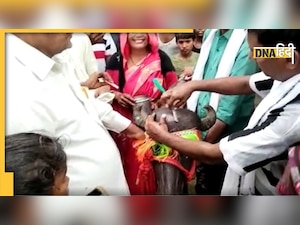 Viral Video: किसान ने करवाया भैंस के बच्चे का मुंडन, हुआ शाही भोज और डीजे के साथ मना जश्न