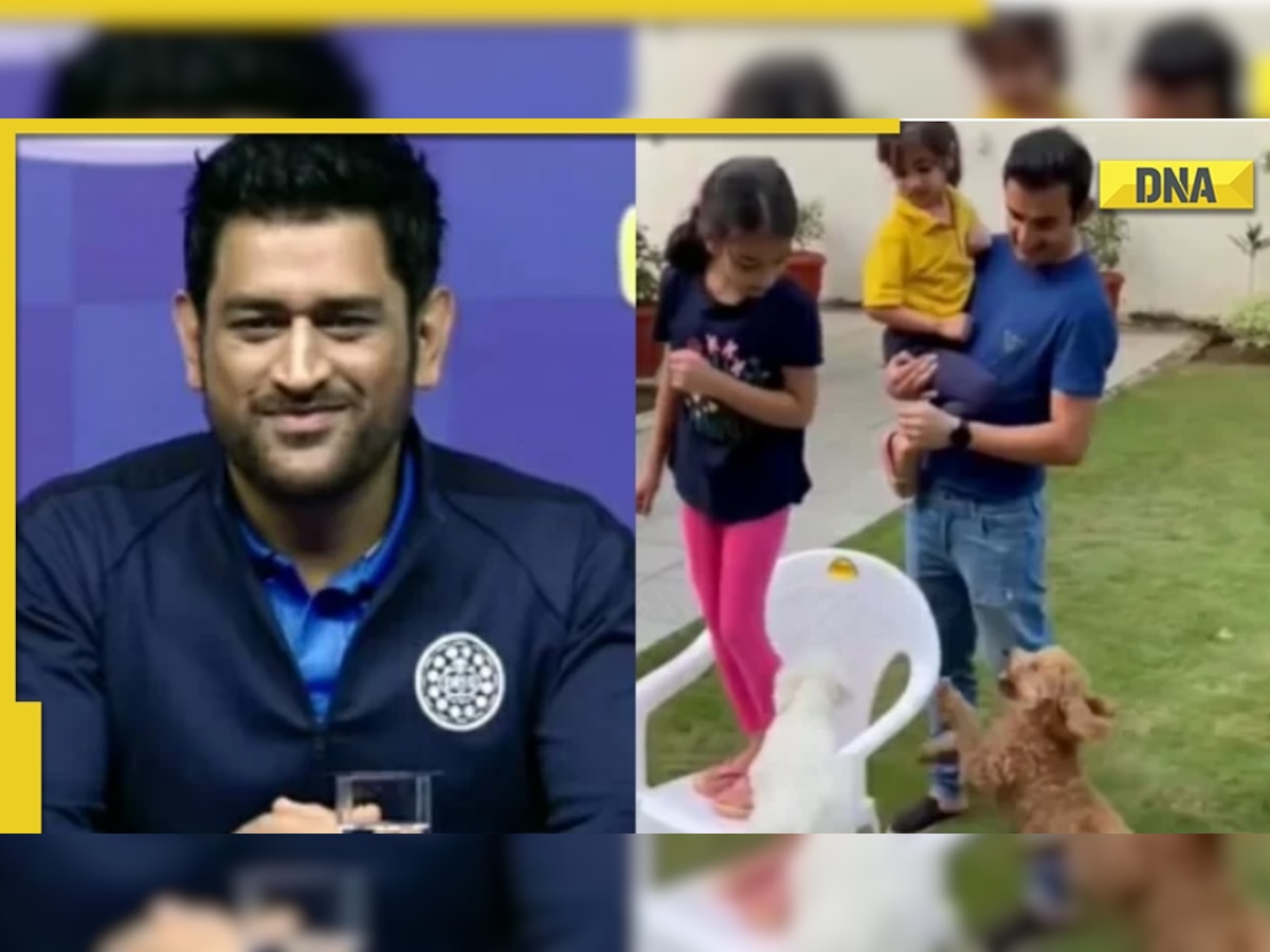 Fans react as Gautam Gambhir posts video with his dog 'Oreo' after MS Dhoni's campaign with the same name