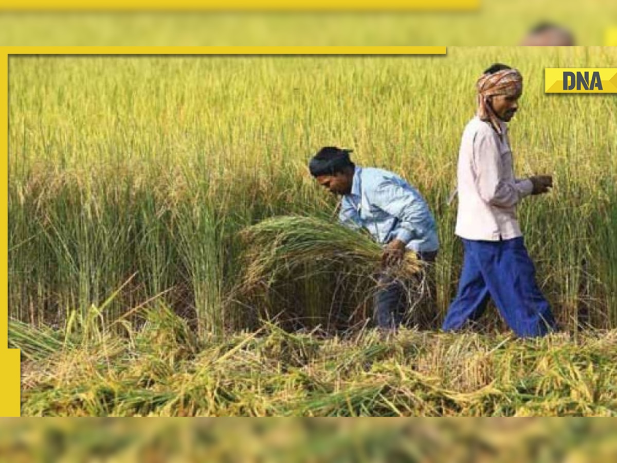 PM Kisan Mandhan Yojana 2022: How to register online for Rs 3,000 monthly pension