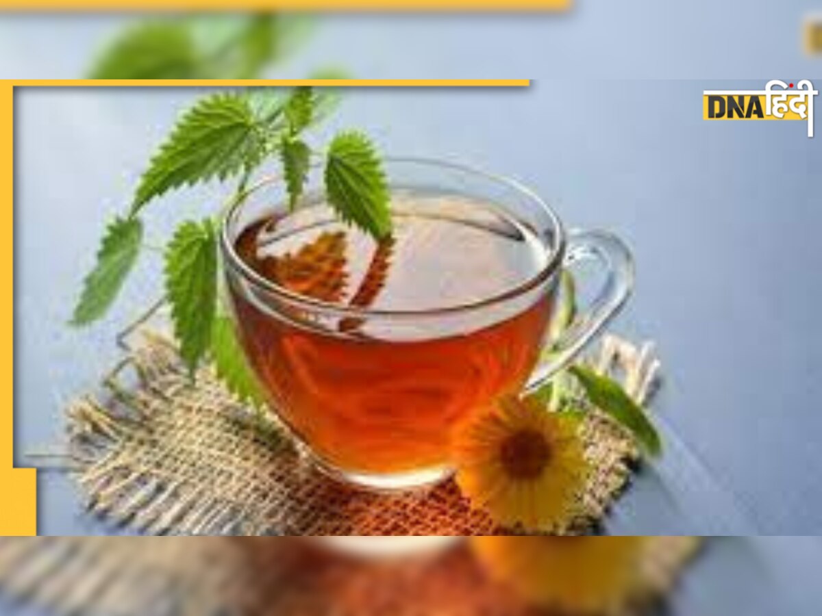 Herbal Tea Benefits: कब्ज, एसिडिटी से छुटकारा दिलाएगी ये टिप्स, खाली पेट दूध चाय पीने से बचें 