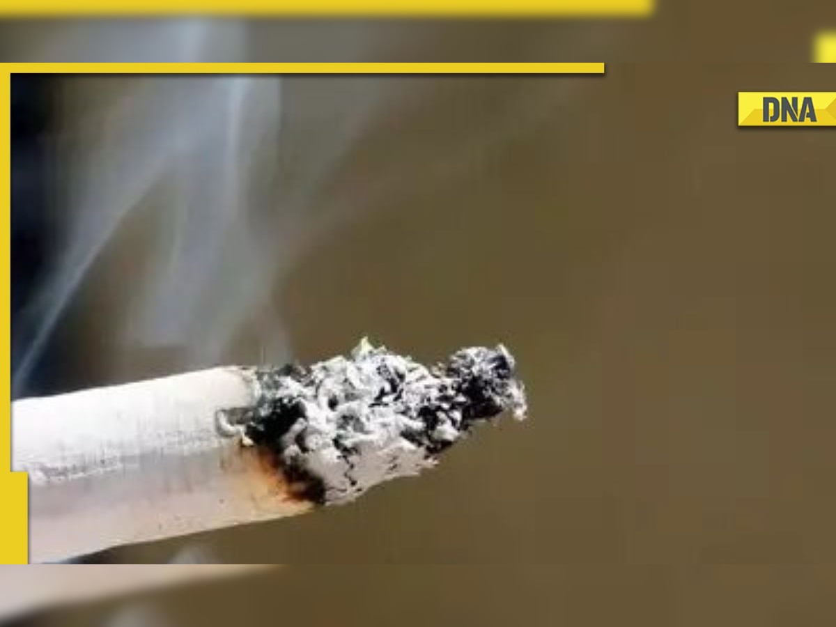 How ban on menthol cigarettes can lead to many smokers quitting smoking?