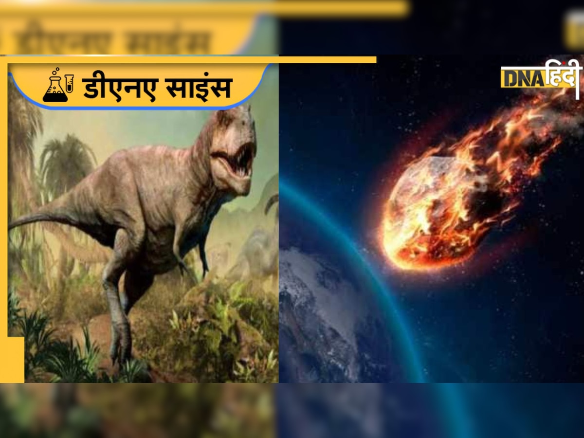 Dinosaurs का काल बने थे उल्का पिंड, चांद पर भी कर दिया था 'हमला' 