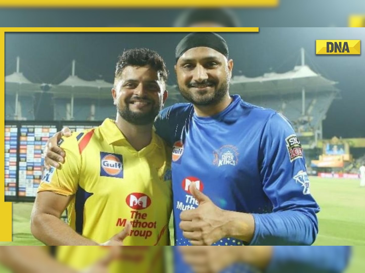 Delhi Bulls sign Harbhajan Singh while Suresh Raina joins Deccan Gladiators for sixth season of Abu Dhabi T10 League