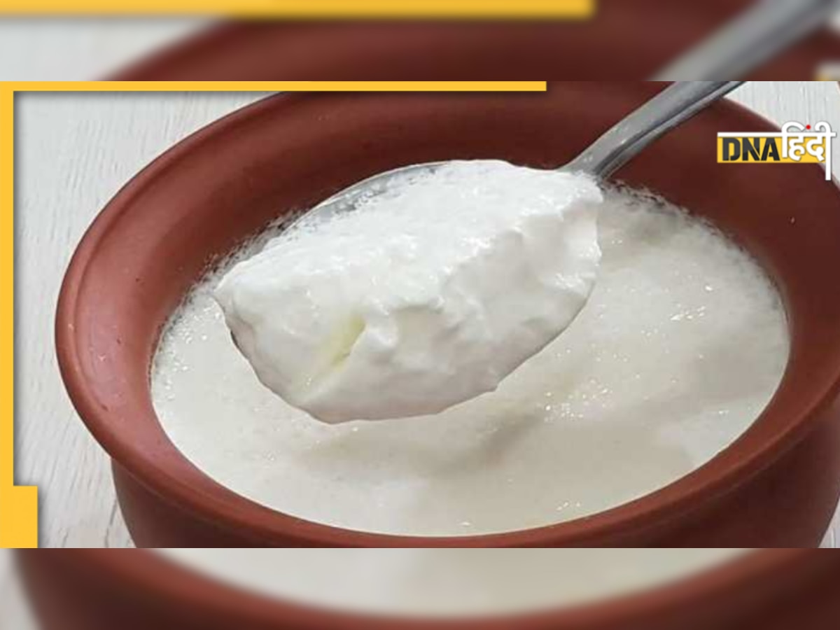 Eating Curd Tips: गलत समय पर दही खाने से बनेगा जहर, इसे खाने के बाद न पिएं पानी या दूध