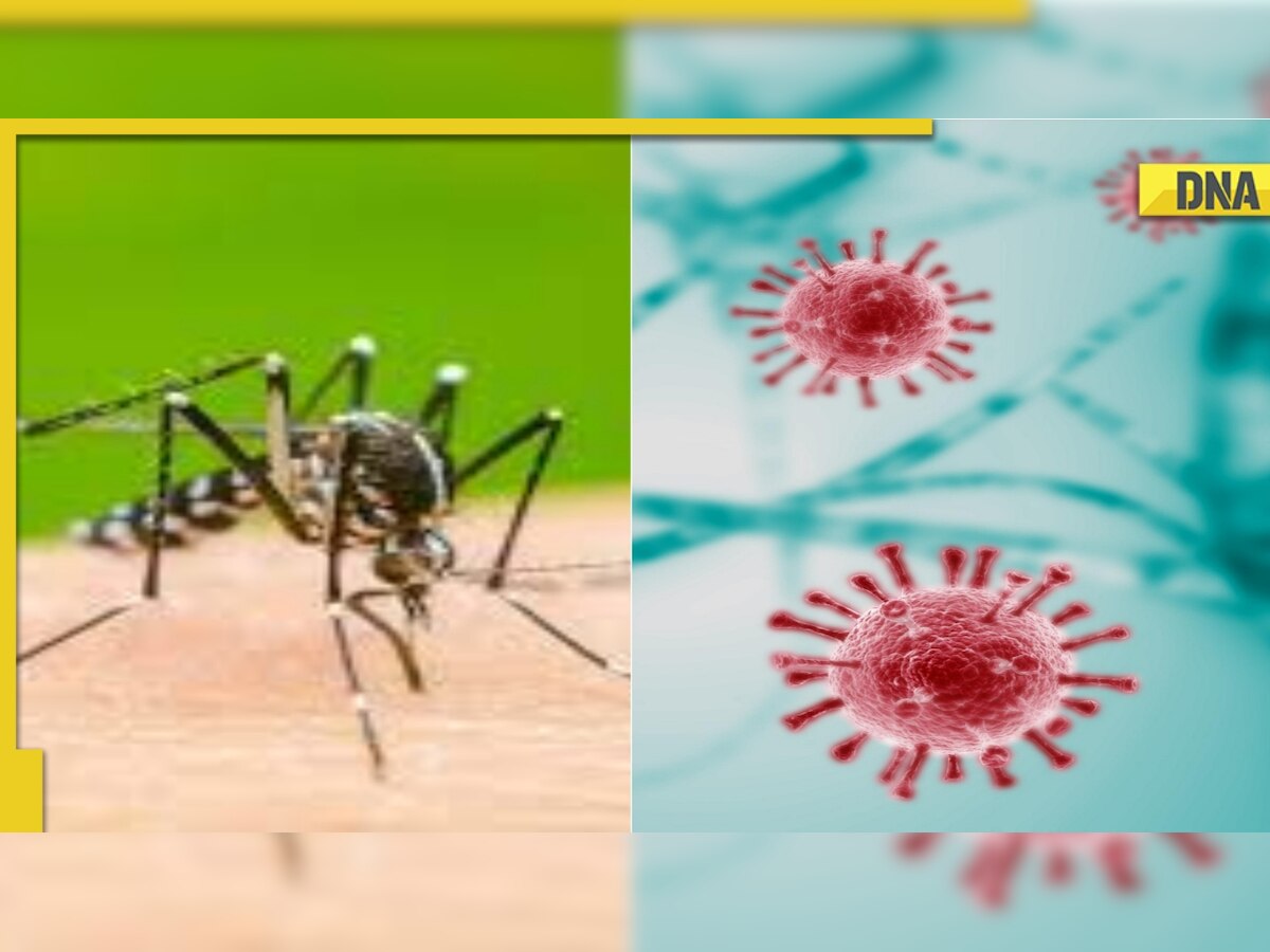 Covid or Dengue: How to identify overlapping symptoms?