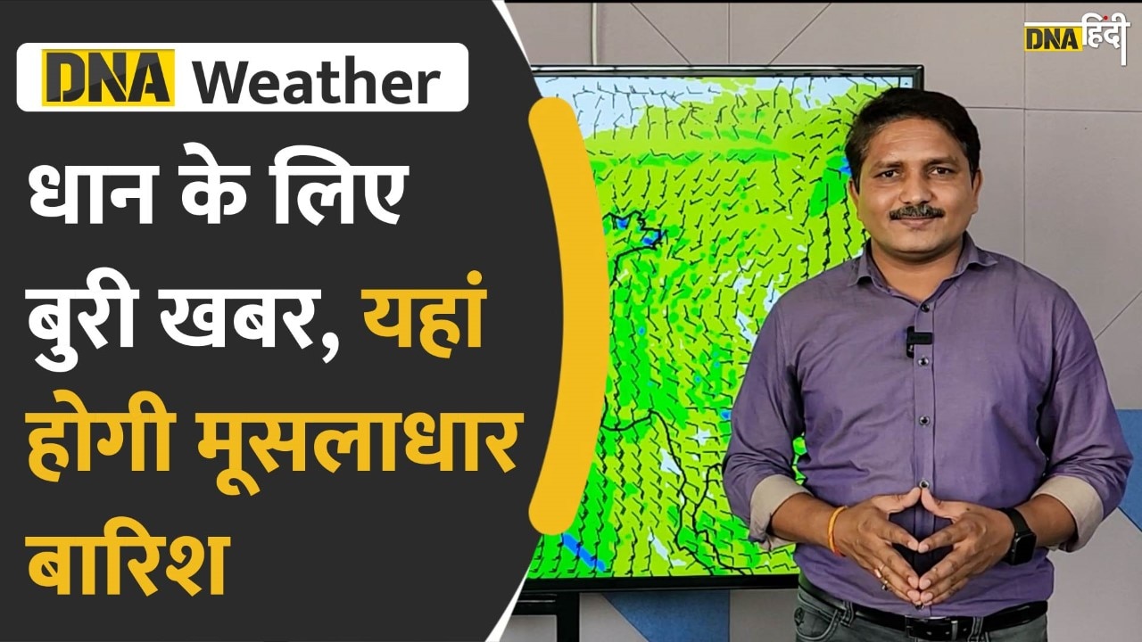 Video: Weather Forecast- यहां हो सकती है मूसलाधार बारिश, धान की फसल को हो सकता है नुकसान