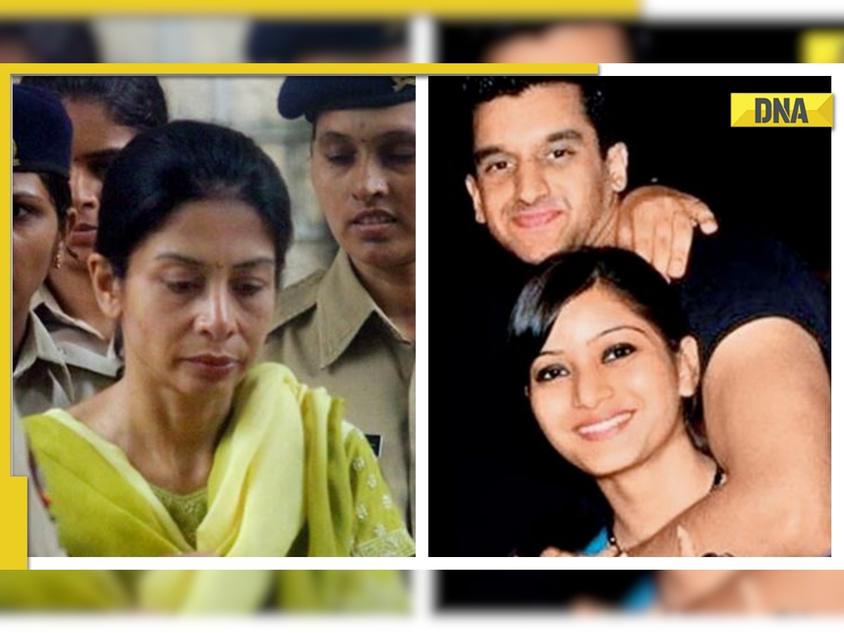 'Did not classify Indrani as my parent': Here's what Rahul Mukerjea testified as a witness in Sheena Bora murder case