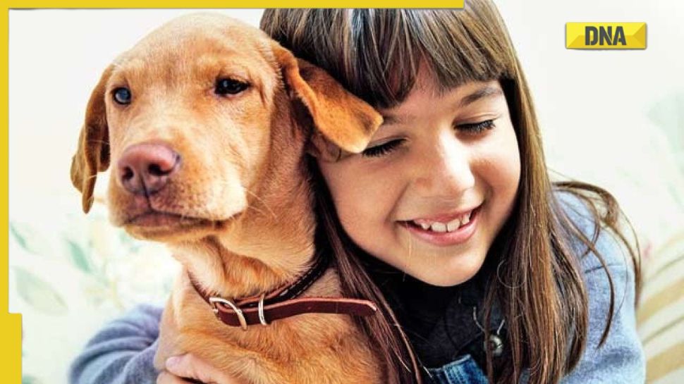World Animal Day 2022: Themes, wishes, quotes and more World Animal Day 2022: Themes, wishes, quotes and more