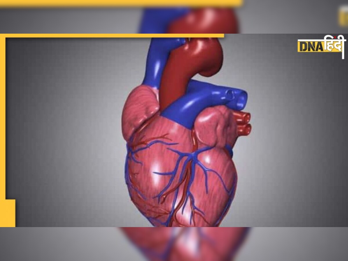 Coronary Artery Disease: हार्ट अटैक का मुख्य कारण CAD, सिकुड़ जाती हैं खून की नसें 