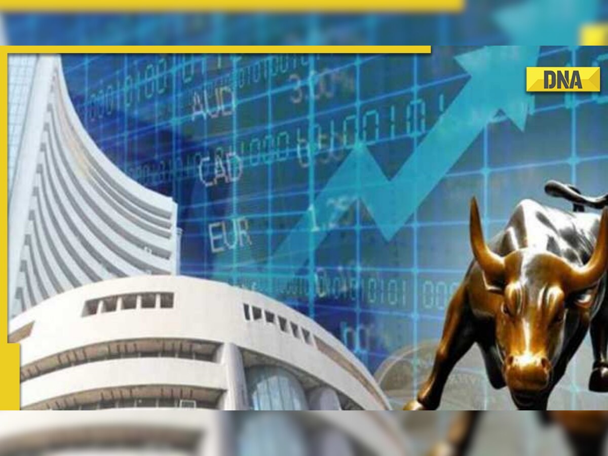 Multibagger stock: Shares of THIS company remain the best bet for investors, yield over 700-time returns in 21 years