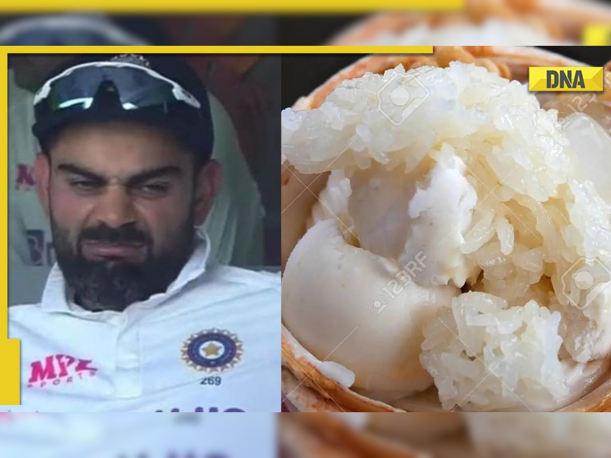 'He ate two bites of rice and then ice cream': Virat Kohli shares THIS Team India player's weird food habits