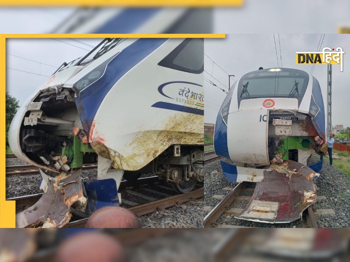 Vande Bharat Train Accident: नई वंदे भारत एक्सप्रेस का हुआ एक्सीडेंट, भैंसों के झुंड से टकराकर अगला हिस्सा हुआ डैमेज