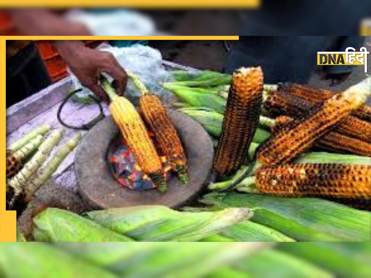 Roadside Corn Side Effects: क्या आप भी खाते हैं सड़क किनारे मिलने वाले भुट्टे? हो जाएं सतर्क