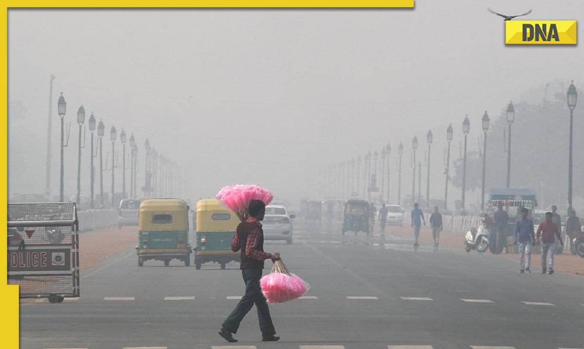 DNA Explainer: What is GRAP and how it can stop Delhi from turning