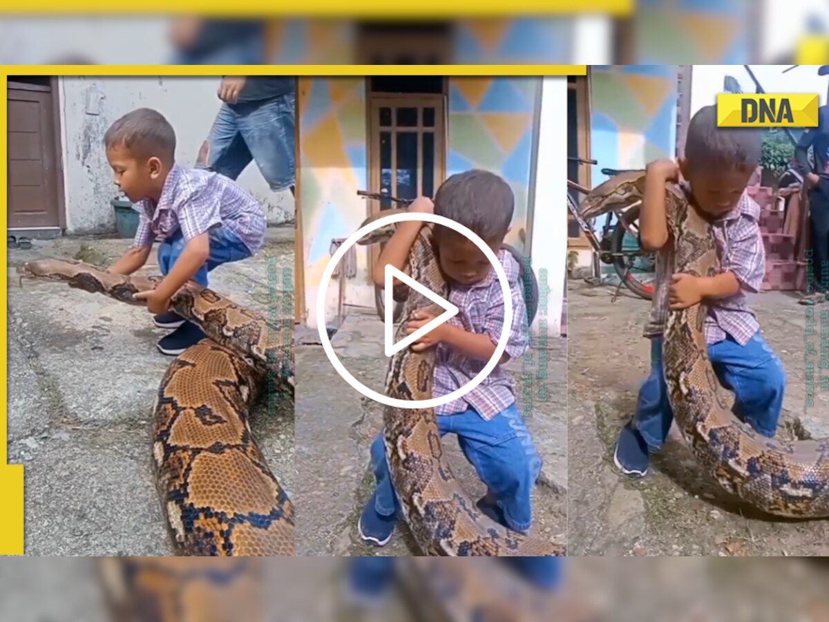 Not for faint-hearted! Little boy plays with huge python in spine-chilling viral video; Watch