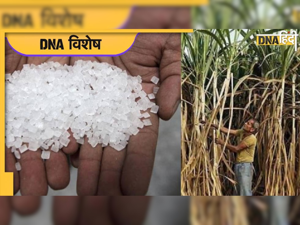 Indian Sugar: दुनिया को पसंद आई भारतीय चीनी की मिठास, 4 गुना बढ़ा निर्यात तो सुधरा किसानों का भी भुगतान