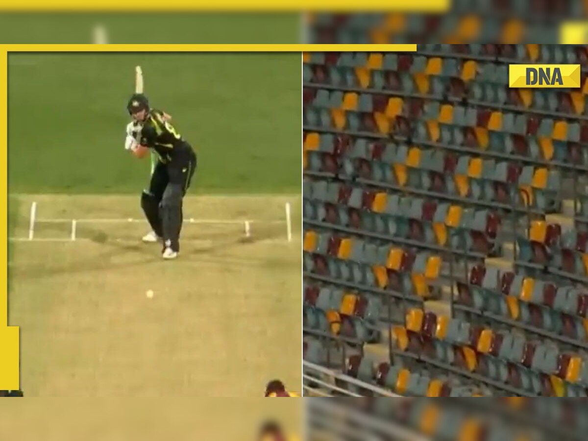 AUS vs WI: Tim David hits monstrous 110m six vs West Indies in the 2nd T20I, watch video