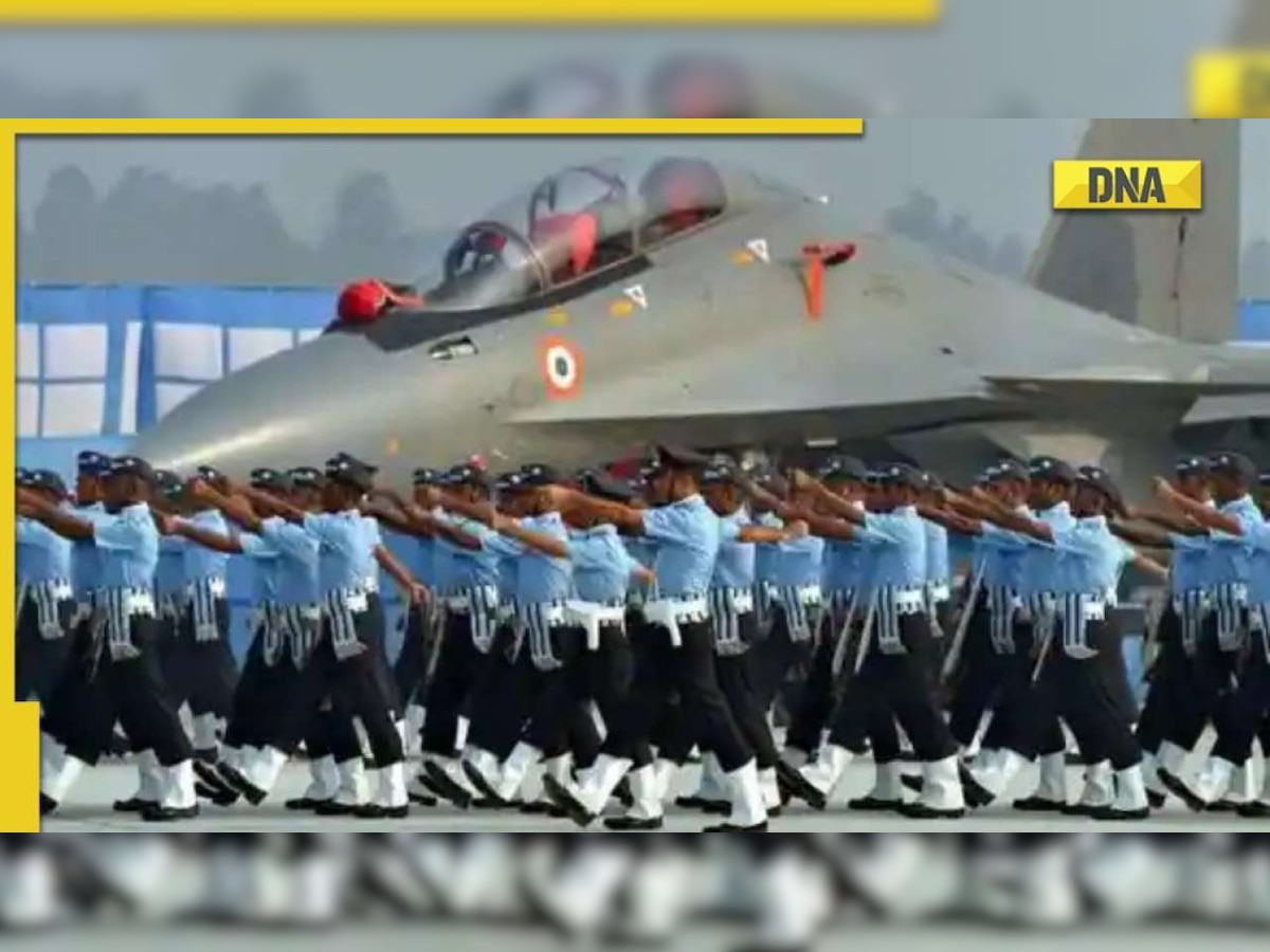 Indian Air Force Day: What is weapon systems branch?