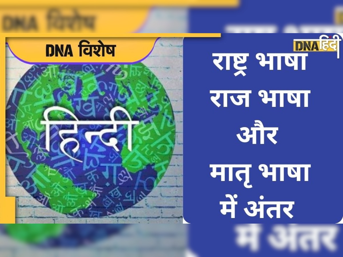 'हिंदी को राष्ट्र भाषा बनाने का इरादा नहीं', राहुल गांधी के इस बयान पर जान लें राष�्ट्र भाषा और राज भाषा की कहानी 