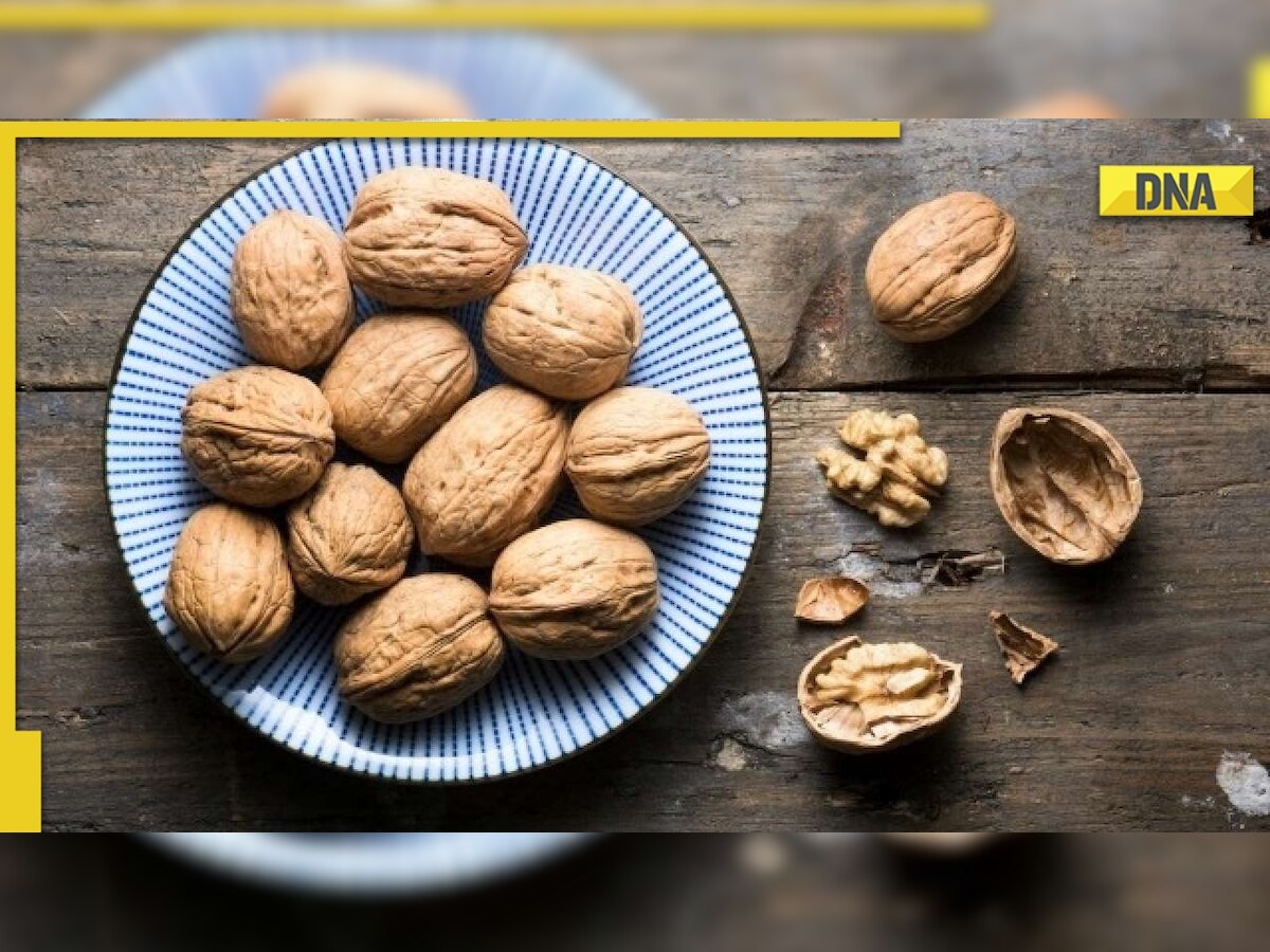 What are the health benefits of walnuts? Know ideal portion to consume