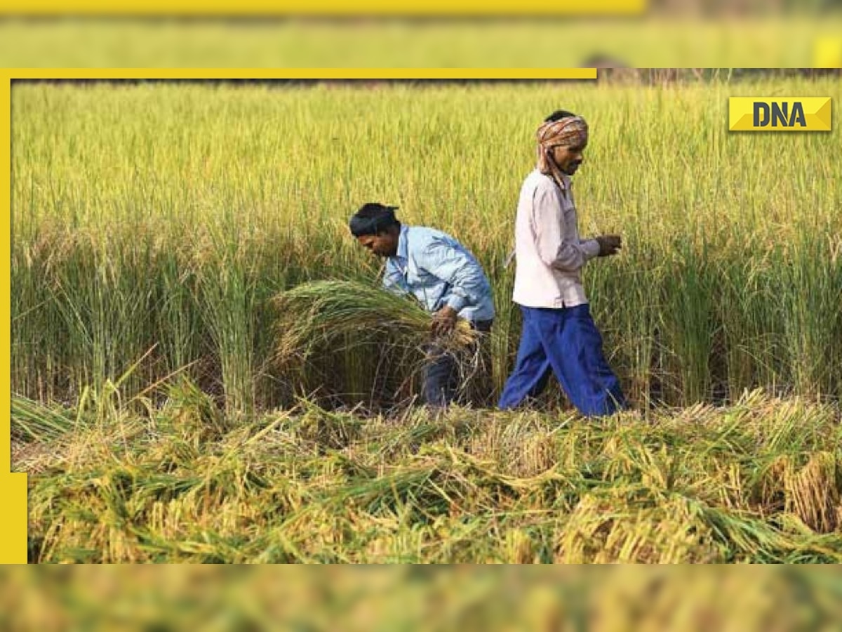 PM Kisan Yojana 12th installment: Step-by-step guide to check name in the list 