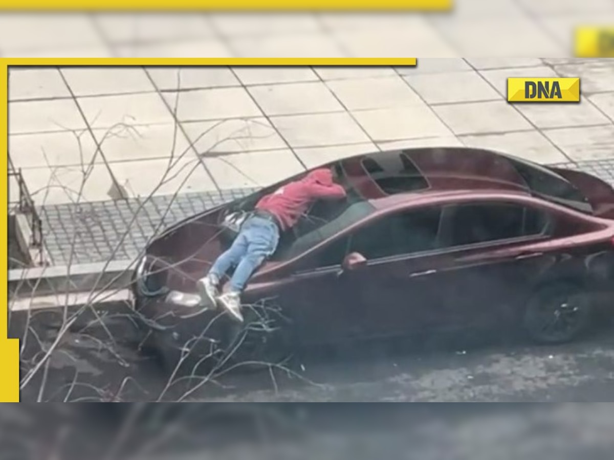 Viral Video: Man sleeps on Honda Civic's windshield while driver casually drives off
