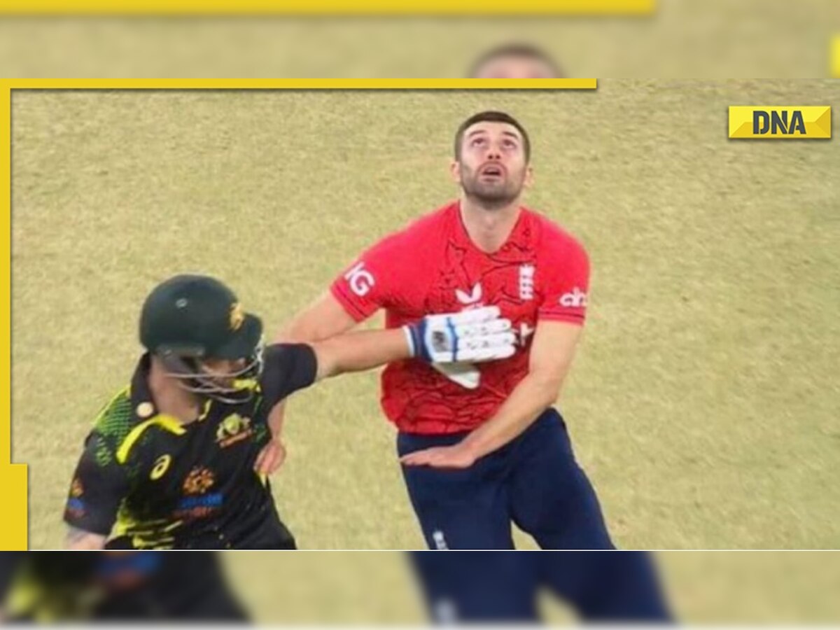 Watch: Matthew Wade interrupts Mark Wood from taking the catch, Netizens call it 'cheating'