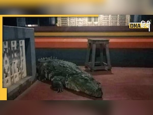 केरल के प्रसिद्ध मंदिर की शाकाहारी मगरमच्छ की मौत, वर्षों से करती थी पवित्र गुफा की रखवाली