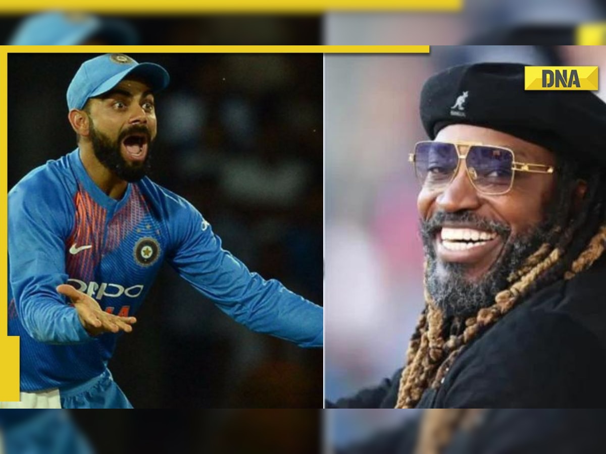 Chris Gayle makes bold prediction about the finalists of T20 World Cup 2022; leaves out India, Pakistan