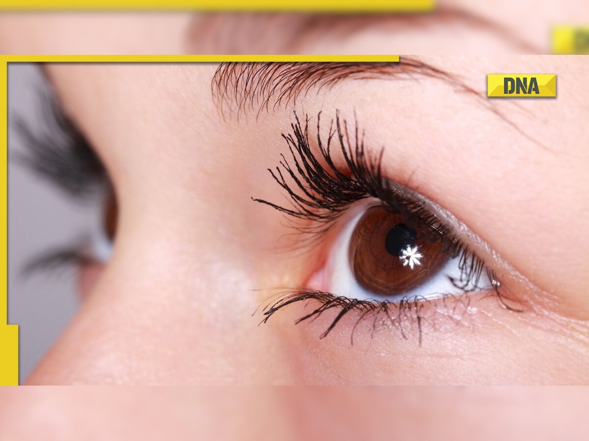 World sight day 2022: Follow these 4 exercises for a better vision