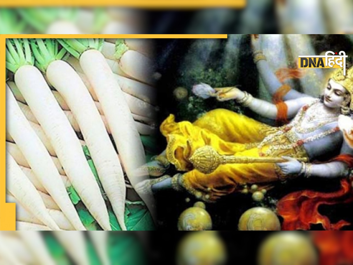 Kartik Maas Food List: श्रीकृष्ण, विष्णु को करना है प्रसन्न तो इस माह में क्या खाएं और क्या न खाएं, देखें ये चार्ट