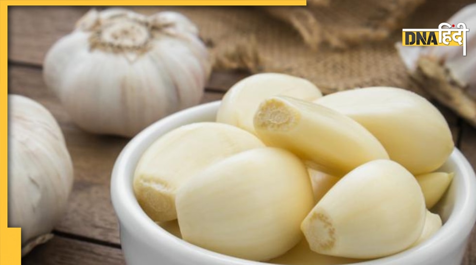 Garlic Benefits पुरुषों की यौन सेहत और स्पर्म क्वालिटी बढ़ाने में