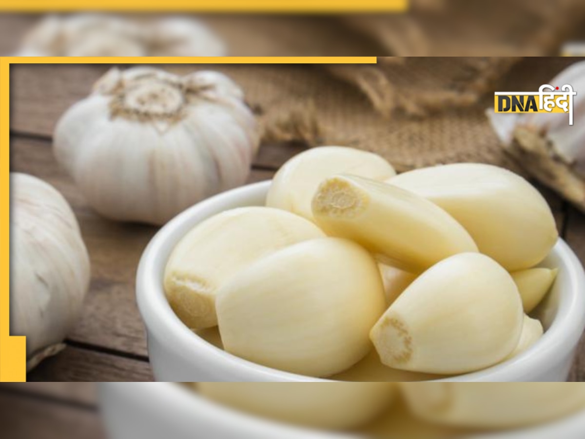 Garlic Benefits: पुरुषों की यौन सेहत और स्पर्म क्वालिटी बढ़ाने में बेस्ट है लहसुन, कितनी कलियां खाएं और कब