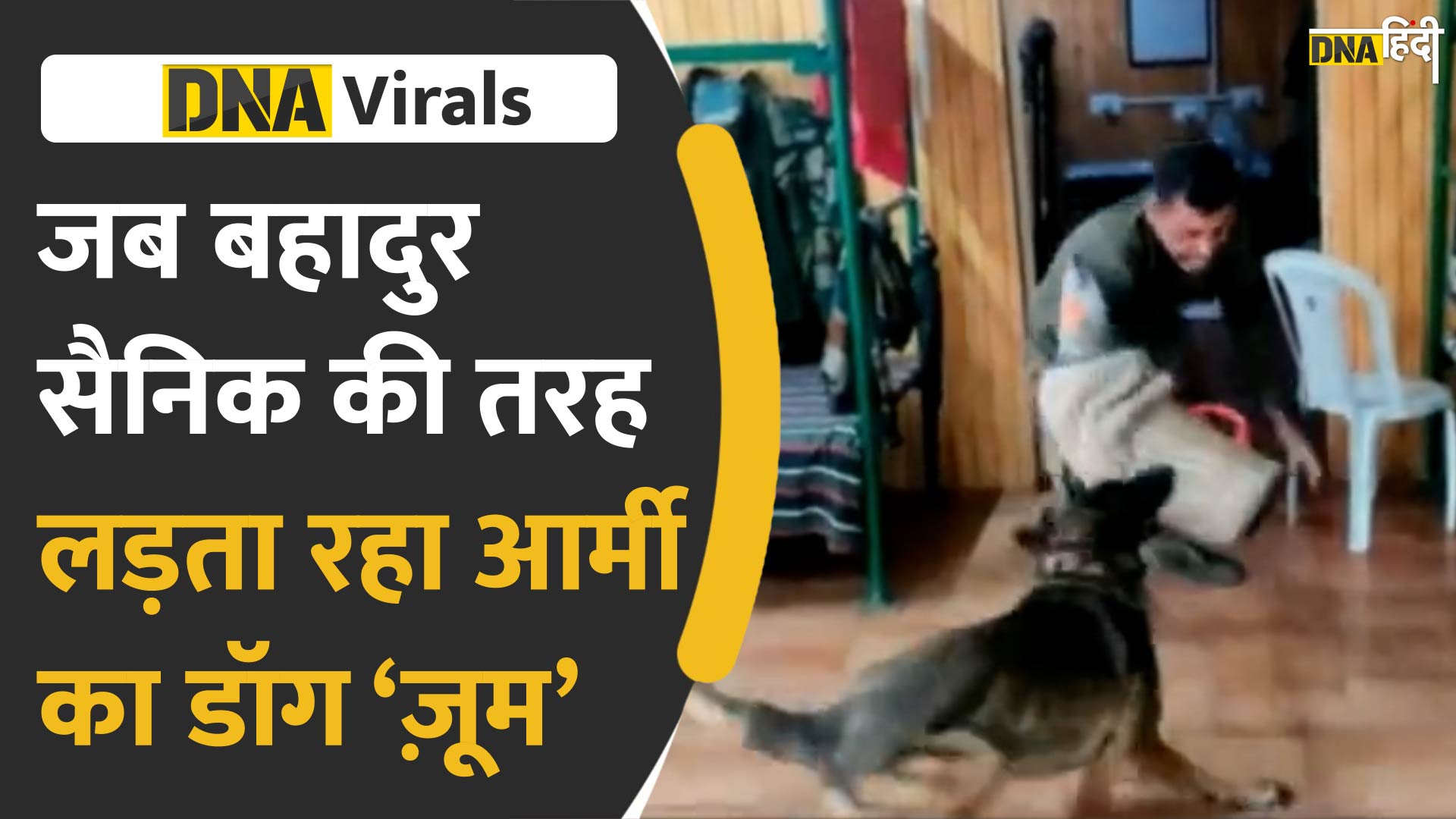 Video: आर्मी डॉग Zoom जिसने गोलियां खाने के बाद भी नहीं छोड़े आतंकी