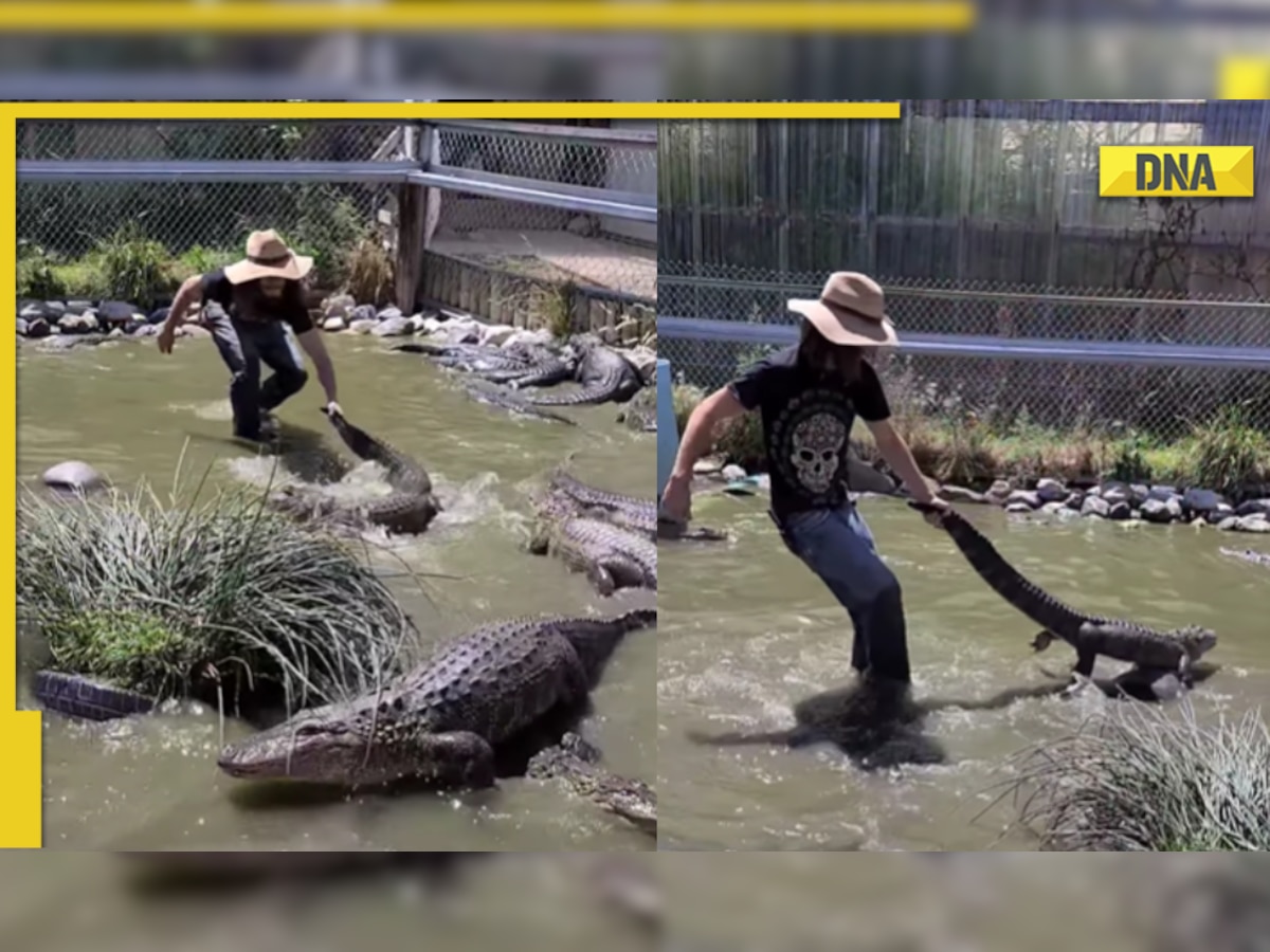Man pulls alligator by tail in shocking viral video; leaves(00)