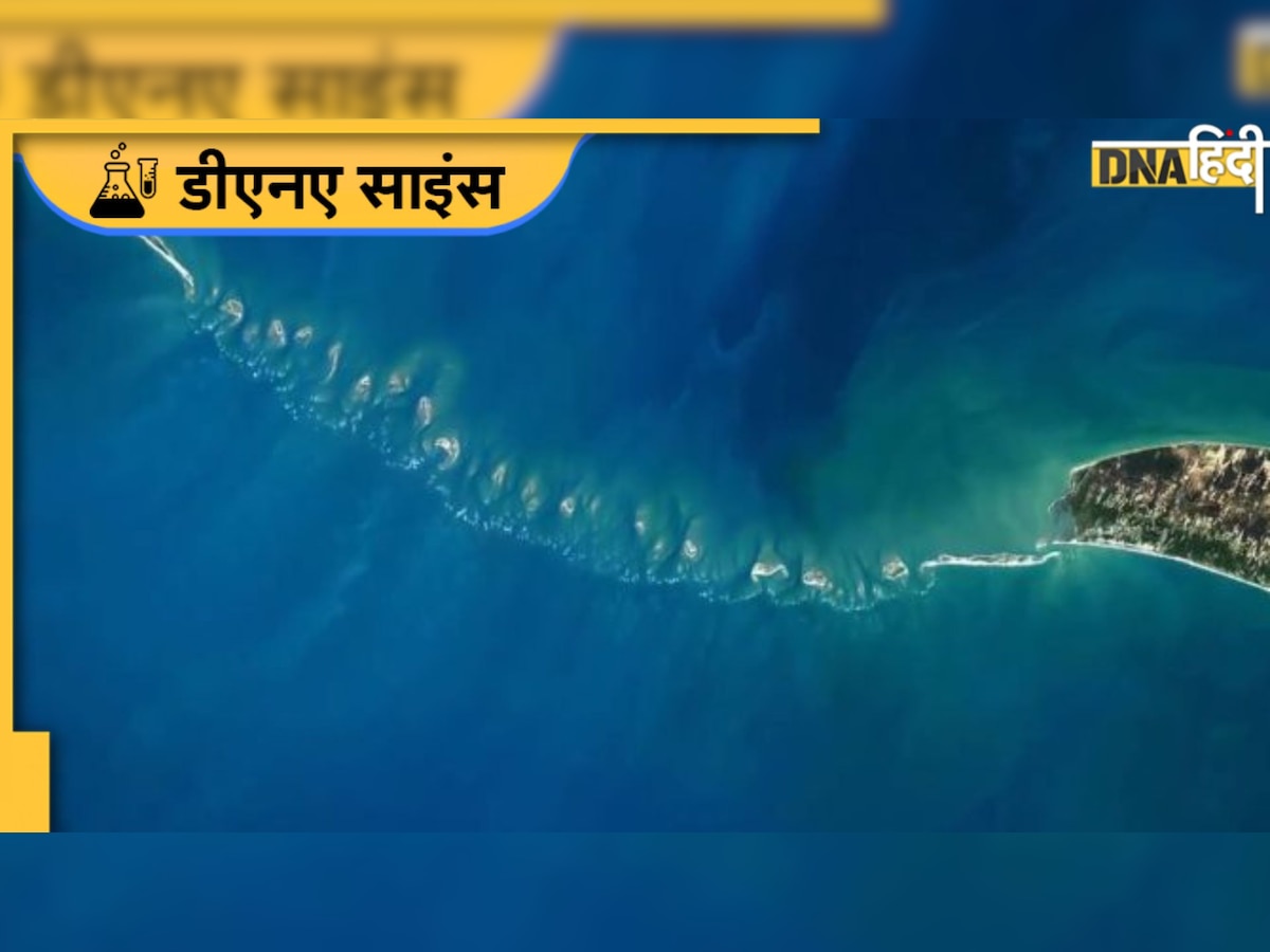 Ram Setu Facts: रामसेतु का पत्थर पानी में कैसे तैरता है? जानिए पूरी कहानी और साइंस